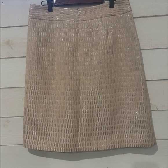 Talbots NWT Shimmering Beige Pencil Skirt in size 8 - Picture 9 of 16